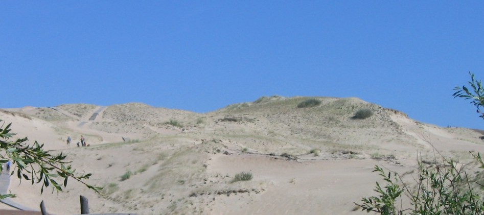 Wydmy na Półwyspie Kuroński w pobliżu Juodkrante, Autor: JonasS, źródło: commons.wikimedia.org