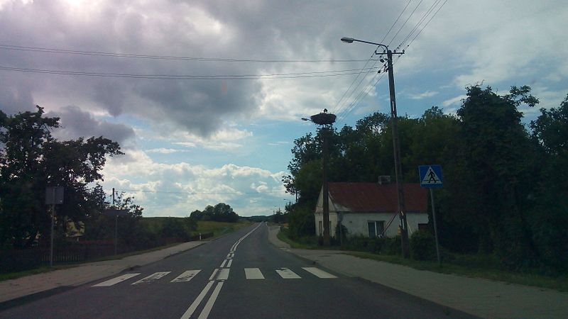 Wieś Chojnowo na trasie Frombork - Tolkmicko, Autor: Kedzio89r, źródło: commons.wikimedia.org