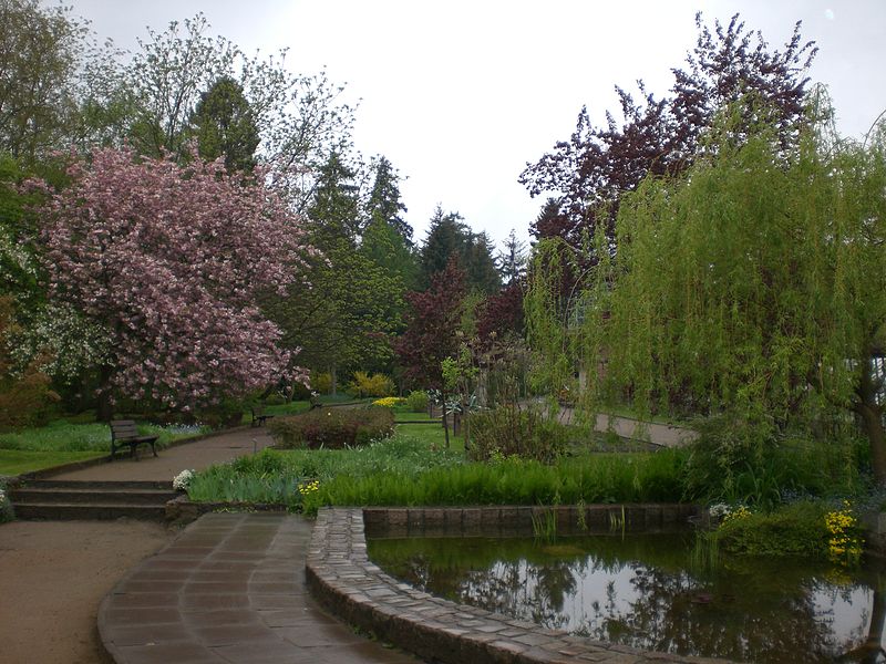 Ogród Botaniczny w Gdańsku Oliwie, autor: Gdaniec, źródło: commons.wikimedia.org