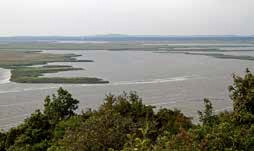 Widok na wyspy delty wstecznej Świny (fot. Tomasz Duda)