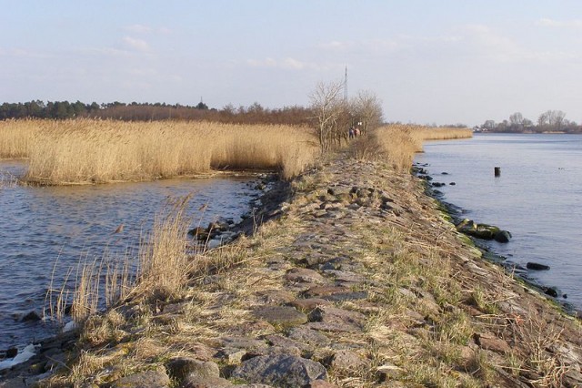 Grobla Sobieszewska, Autor Andrzej Otrębski, źródło: commons.wikimedia.org