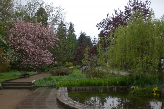 Ogród Botaniczny w Gdańsku Oliwie, autor: Gdaniec, źródło: commons.wikimedia.org