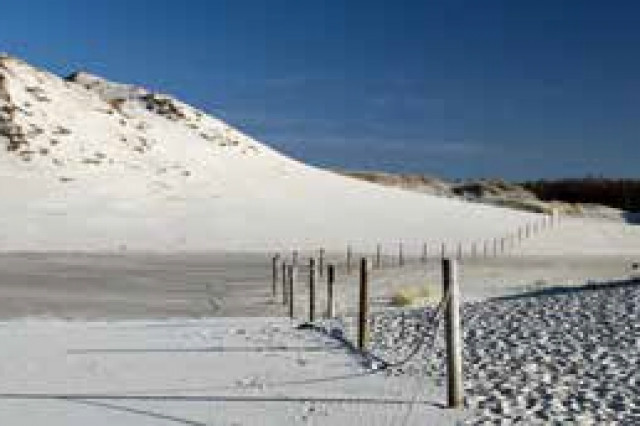 Ruchome wydmy na Mierzei Łebskiej (fot. Tomasz Duda)